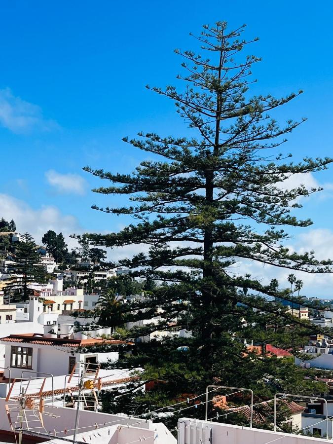 Апартаменты Teror Centro 2 Экстерьер фото